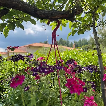 מלון דירות Sun Sight 3*