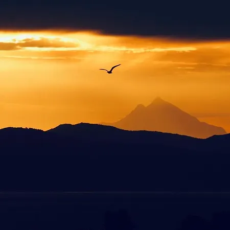 Ξενοδοχείο με διαμερίσματα Sun Sight Πευκοχώρι