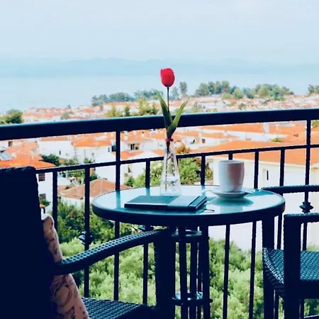 Sun Sight Ξενοδοχείο με διαμερίσματα Πευκοχώρι